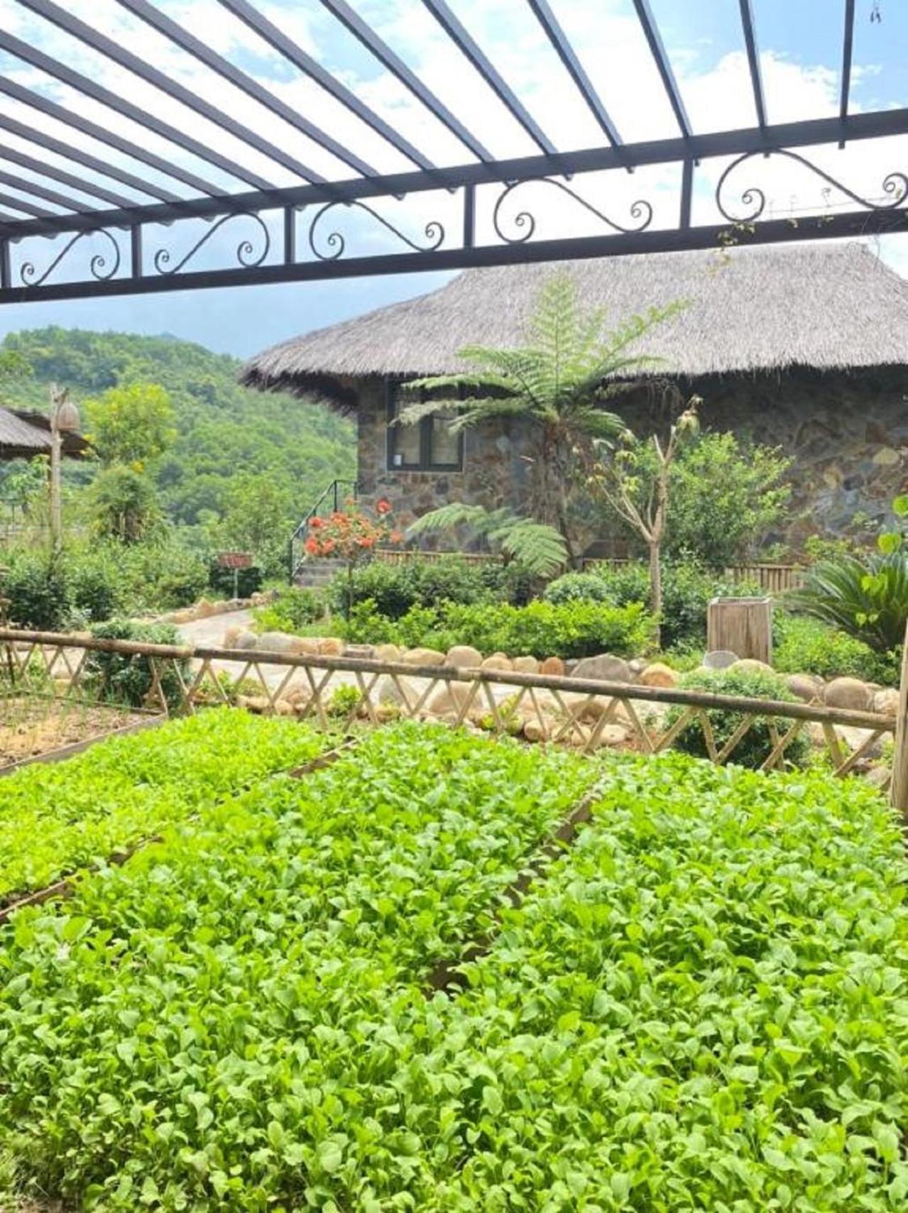 Vila Muong Lo Retreat Nghia Lo Yen Bai Exteriér fotografie